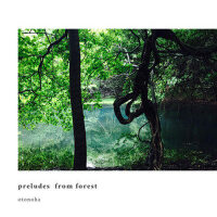 preludes from forest專輯_Otonohapreludes from forest最新專輯