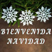 Bienvenida Navidad