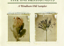 The Impressionists: A Windham Hill Sampler專輯_NightnoiseThe Impressionists: A Windham Hill Sampler最新專輯