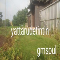 gmsoul專輯_yattarudetintingmsoul最新專輯