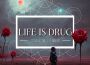 LIFE IS DR*G專輯_罈子LIFE IS DR*G最新專輯