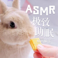 ASMR|極致助眠，顱內解壓專輯_耳邊伴音師ASMR|極致助眠，顱內解壓最新專輯