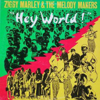 Ziggy Marley And The Melody Makers