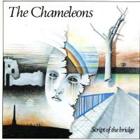 The Chameleons歌曲歌詞大全_The Chameleons最新歌曲歌詞