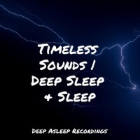 Deep Sleep Hypnosis個人資料介紹_個人檔案(生日/星座/歌曲/專輯/MV作品)