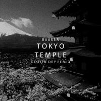 Geotheory、Baauer