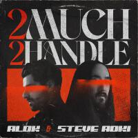 2 Much 2 Handle專輯_Alok2 Much 2 Handle最新專輯