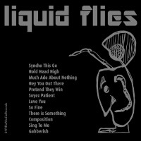 Liquid Flies歌曲歌詞大全_Liquid Flies最新歌曲歌詞