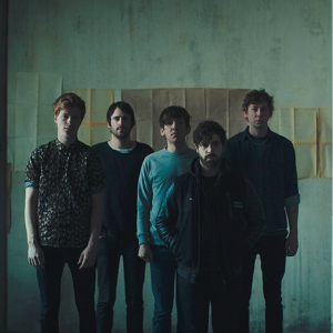 Foals