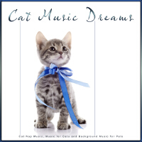Cat Music Dreams歌曲歌詞大全_Cat Music Dreams最新歌曲歌詞
