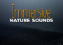 Nature Sounds for Sleep and Relaxation歌曲歌詞大全_Nature Sounds for Sleep and Relaxation最新歌曲歌詞