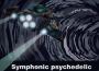 Symphonic psychedelic專輯_WiLiSymphonic psychedelic最新專輯