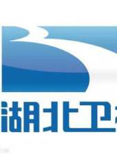 2016湖北衛視春晚最新一期線上看_全集完整版高清線上看 - 蟲蟲綜藝