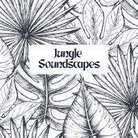 Jungle Soundscapes: Exotic Nature Sounds for Spa, Relax, Deep Sleep, Meditation