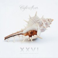 Café del Mar XXVI (Vol. 26)