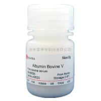 Albumin