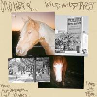 Wild Wild West (Explicit)