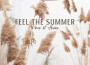 Feel the Summer Vibes at Home專輯_Lounge relaxFeel the Summer Vibes at Home最新專輯