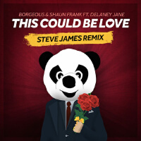 This Could Be Love (Steve James Remix)