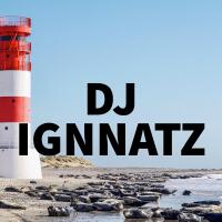 DJ IGNNATZ歌曲歌詞大全_DJ IGNNATZ最新歌曲歌詞