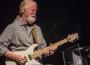 Jimmy Herring