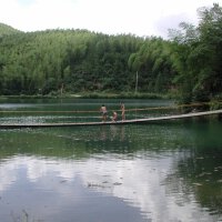 LAK圖片照片_LAK