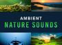 Soothing Nature Sounds歌曲歌詞大全_Soothing Nature Sounds最新歌曲歌詞