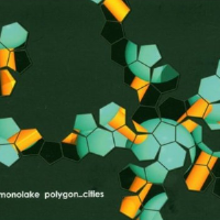 Polygon Cities