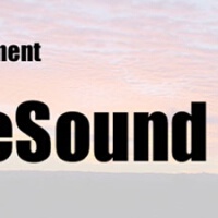 ReSound Wave