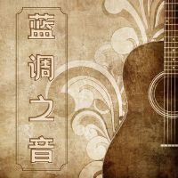 藍調之音：帶你去美國的14首歌曲，藍調音樂收藏，憂鬱的布魯斯曲調，藍調精神, 鄉村音樂