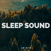 Sleep Sound