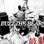 BUZZ THE BEARS