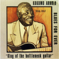 King of the Bottleneck Guitar (1934-1937)