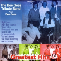 The Bee Gees Tribute Band歌曲歌詞大全_The Bee Gees Tribute Band最新歌曲歌詞