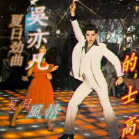 大碗寬面Disco