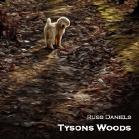 Tysons Woods