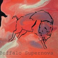 Buffalo Supernova