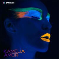 Amor (Radio Edit)