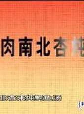 城事特搜最新一期線上看_全集完整版高清線上看 - 蟲蟲綜藝