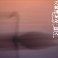 陰天（Demos:2012-2015）