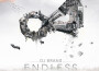 Endless (Explicit)專輯_DJ BransEndless (Explicit)最新專輯