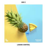 Losing Control專輯_BIG ZLosing Control最新專輯