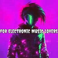 For Electronic Music Lovers