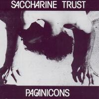 Saccharine Trust歌曲歌詞大全_Saccharine Trust最新歌曲歌詞