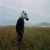 sparklehorse