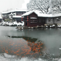 雪落圖片照片_雪落