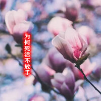 秀兒姐歌曲歌詞大全_秀兒姐最新歌曲歌詞