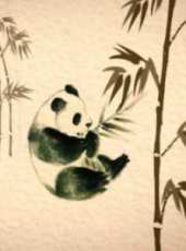 熊貓歷險記線上看_高清完整版線上看_好看的電影