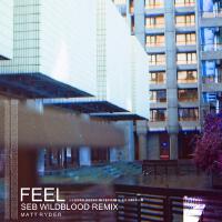 Feel (Seb Wildblood Remix)專輯_Matt RyderFeel (Seb Wildblood Remix)最新專輯