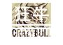 狂牛CrazyBull歌曲歌詞大全_狂牛CrazyBull最新歌曲歌詞